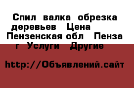 Спил, валка, обрезка деревьев › Цена ­ 500 - Пензенская обл., Пенза г. Услуги » Другие   